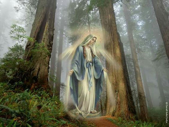 Apparition