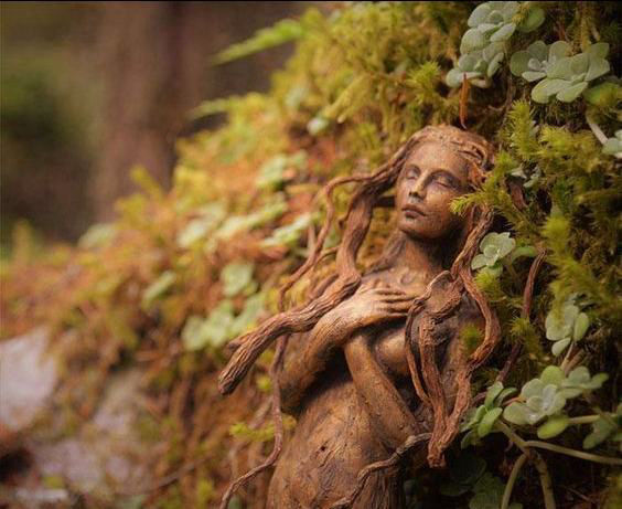Wood Nymph