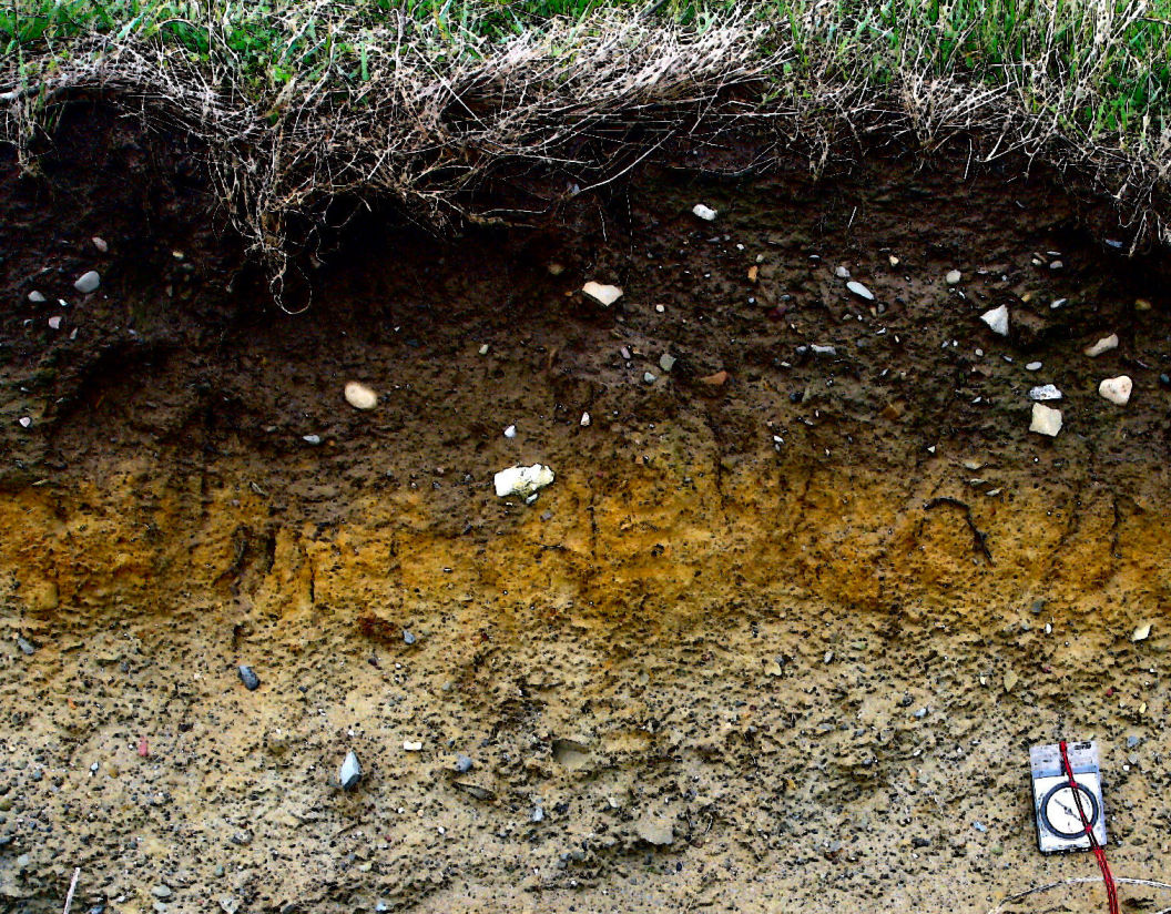 Peat Layers