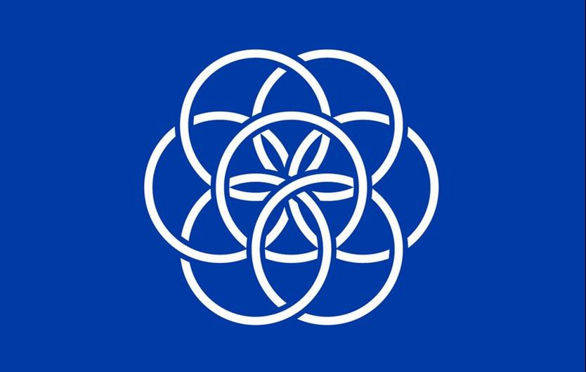 NASA's International Earth Logo