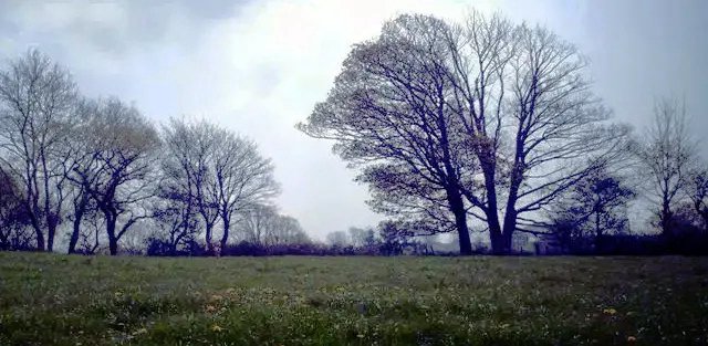 Gorsedd Arberth