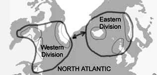 Map of Beacons