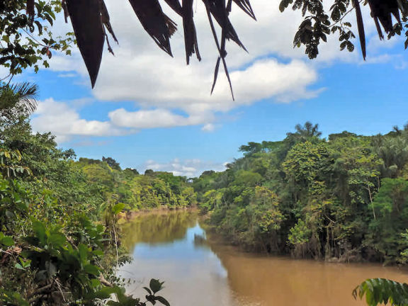 Terra Preta