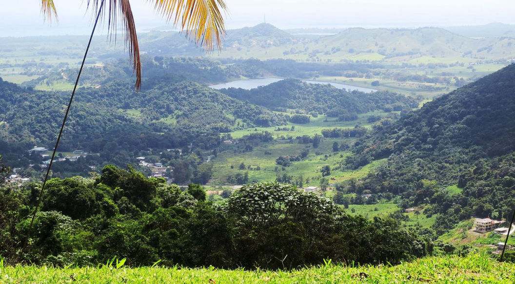 El Yunque National Forest