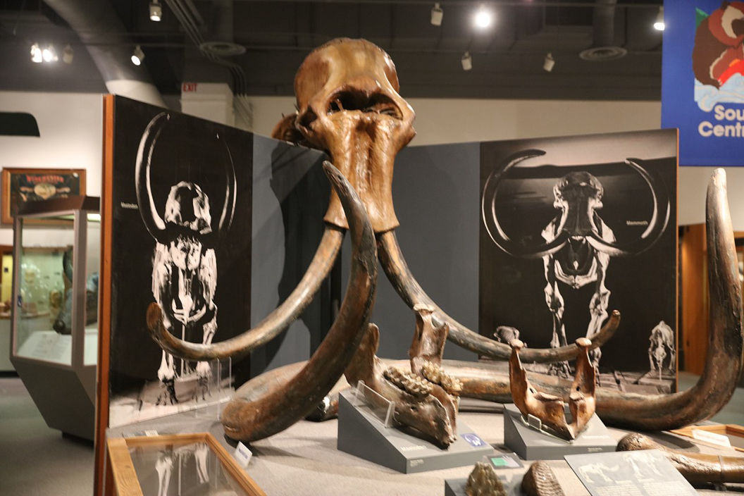 Woolly Mammoth