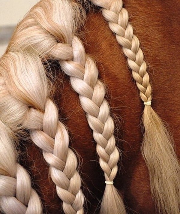 Plaits