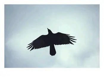 The Morrigan