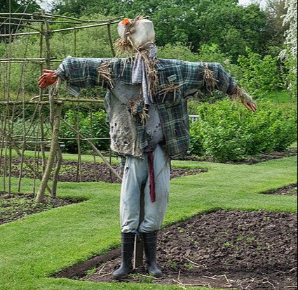 Scarecrow