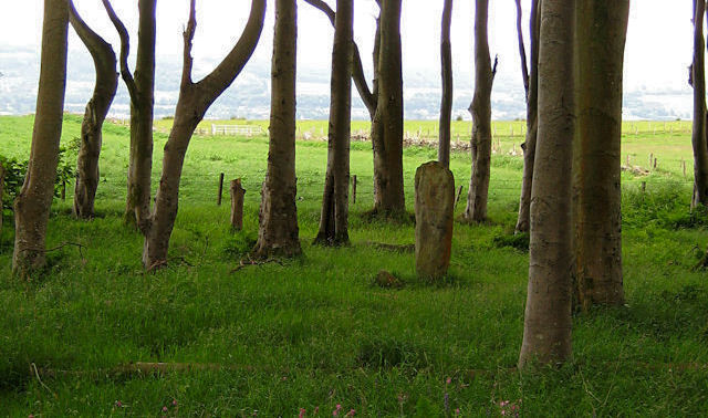 Standing Stone