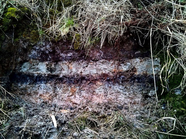 Storrega Slide Evidence